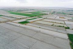 跟着斗极手艺、全从动移栽机等现代农业手艺配